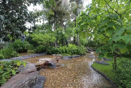 Natural Ponds and Ornamental Fish Ponds