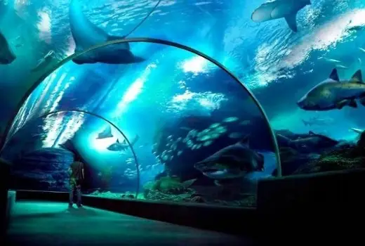 Aquarium Water Systems